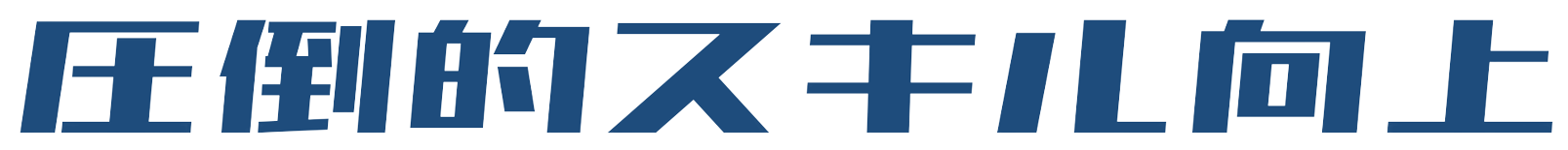 圧倒的スキル向上